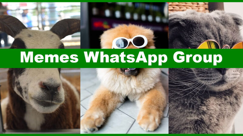 Best Memes WhatsApp Group Links to Discover