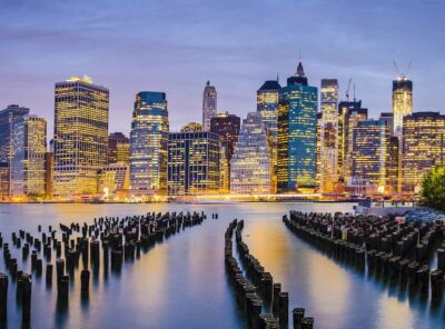 The Concrete Jungle 🌆🦁