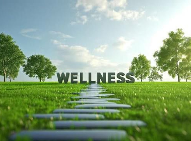 The Wellness Collective 🌼🤝