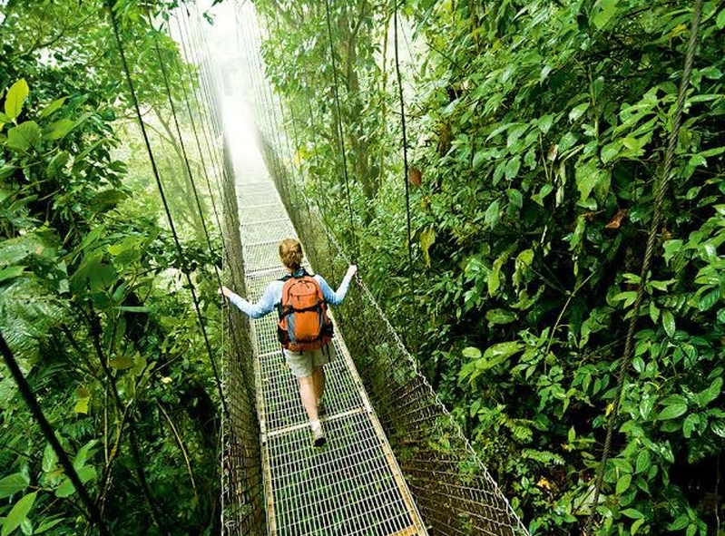 Brisbane Bush Explorers 🐨🌿